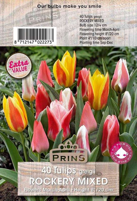 Prins Tulips Rockery Mixed 40 P.P.
