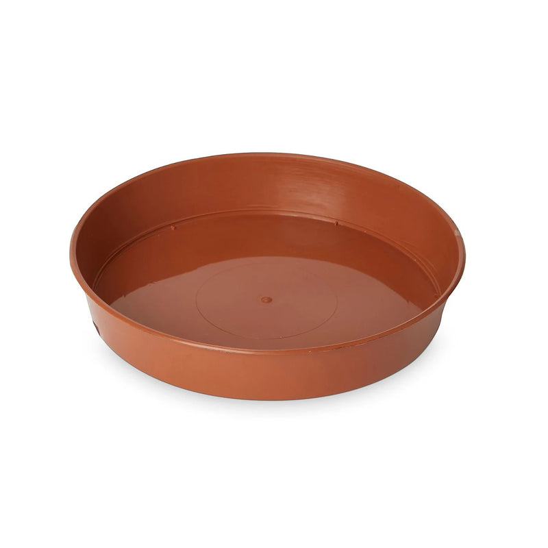 Strata 9cm Grow Saucer