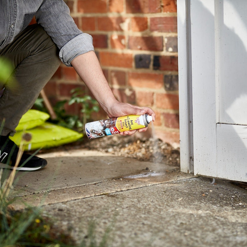 STV Ant & Crawling Insect Killer Spray - 300Ml